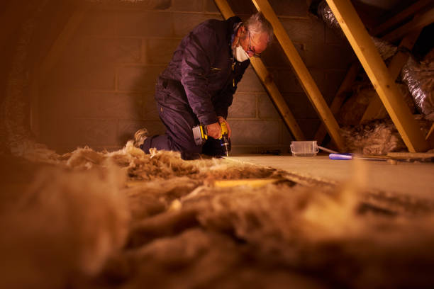 Best Attic Insulation Installation  in Waynesboro, TN